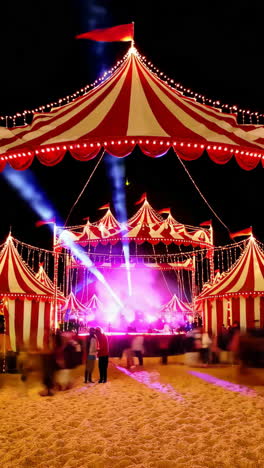 circus night performance