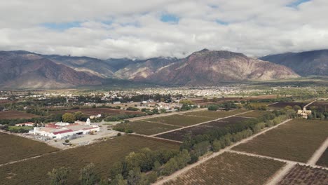 Viñedos,-Bodegas-Y-El-Pintoresco-Pueblo-De-Cafayate-Al-Fondo,-Creando-Un-Escenario-Icónico-De-La-Producción-De-Vino-En-Argentina