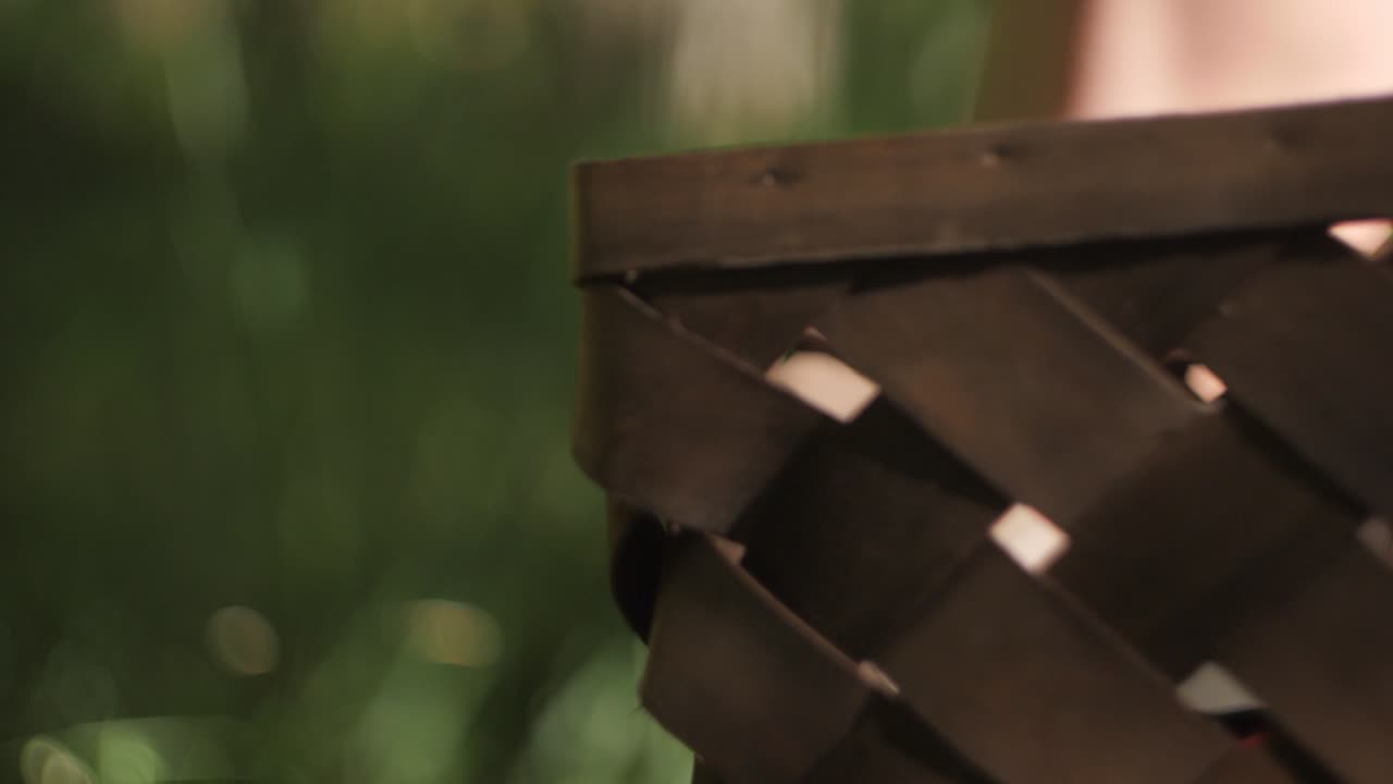 숲 바구니는 흐릿한 배경, 과일 열매에 가깝습니다.