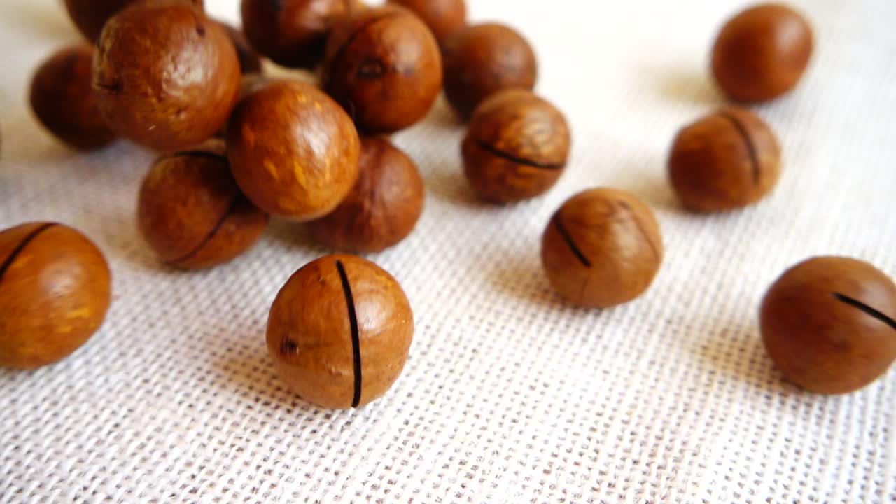 Noci di macadamia. Riprese mentre cadono su un sacco. Rallentatore