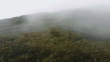vista aérea del valle de los frailejones - colombia