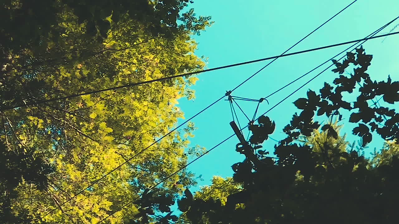 Woman enjoying a thrill ride with zip wires through the forest in Signal De Bougy Parc Adventure, slow motion footage