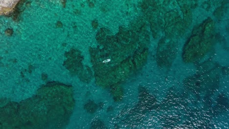 SUP Board at Transparent Sea - Aerial Top Down Vertical View of Seabed