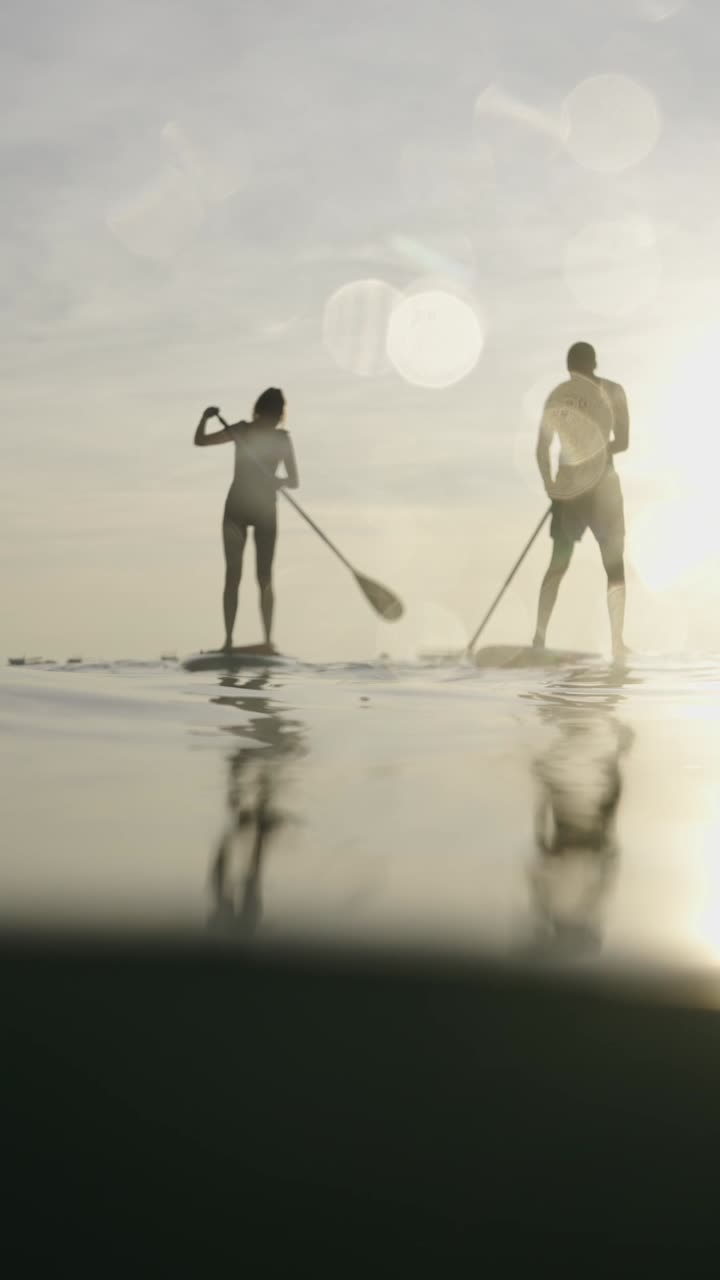 해가 지면 패들보드 타기