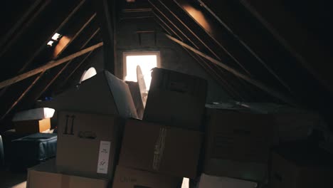 dark and cluttered attic filled with cardboard boxes