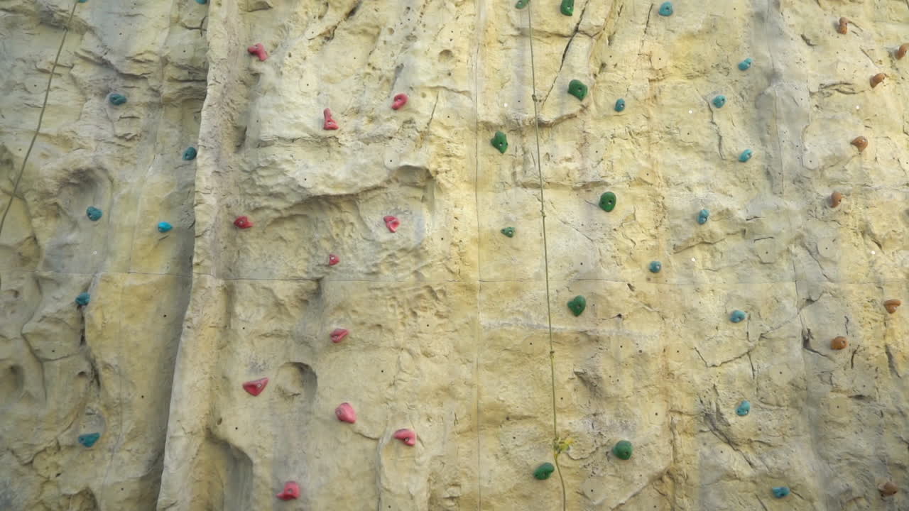 월토피아 클라이밍 조화 시스템 게임 온 크루즈 와이드 뷰