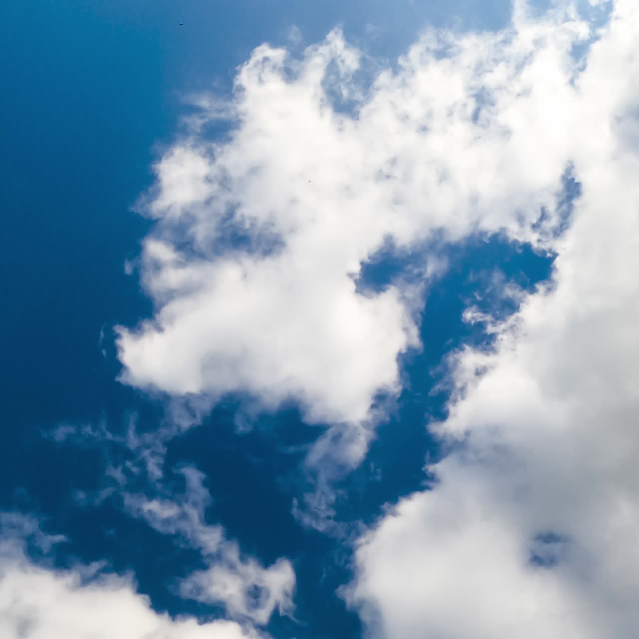 Blue skies clearing up from white clouds. Cloudscape formation in the horizon timelapse. View from below