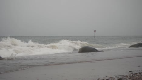 Große-Meeresrobbe,-Die-Mit-Brechenden-Wellen-In-Horsey-Gap,-Norfolk,-England,-Ins-Wasser-Geht