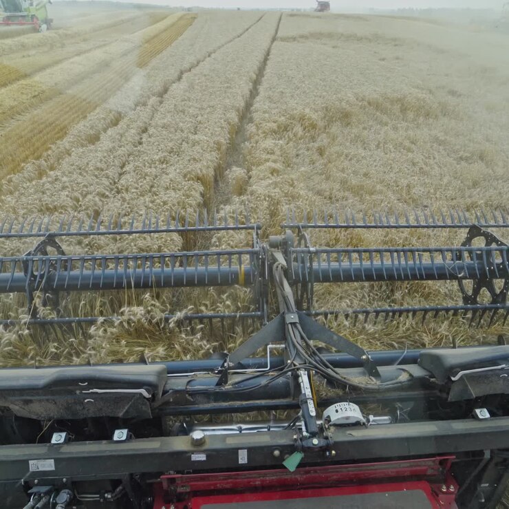 Head cabin and reaping machine