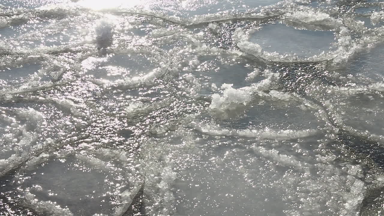 빛은 바다에서 부드럽게 떠다니는 얼음 어리에 스트럼 하이라이트를 만니다.