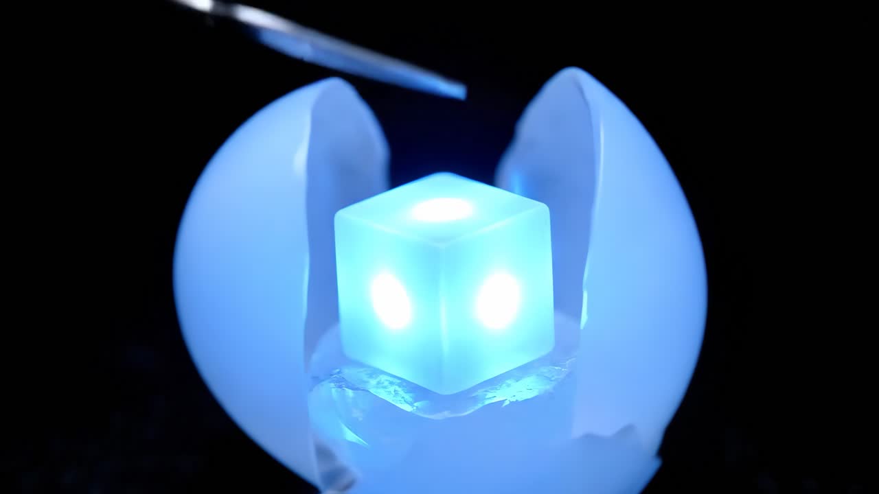 Egg and Ice Sculptures