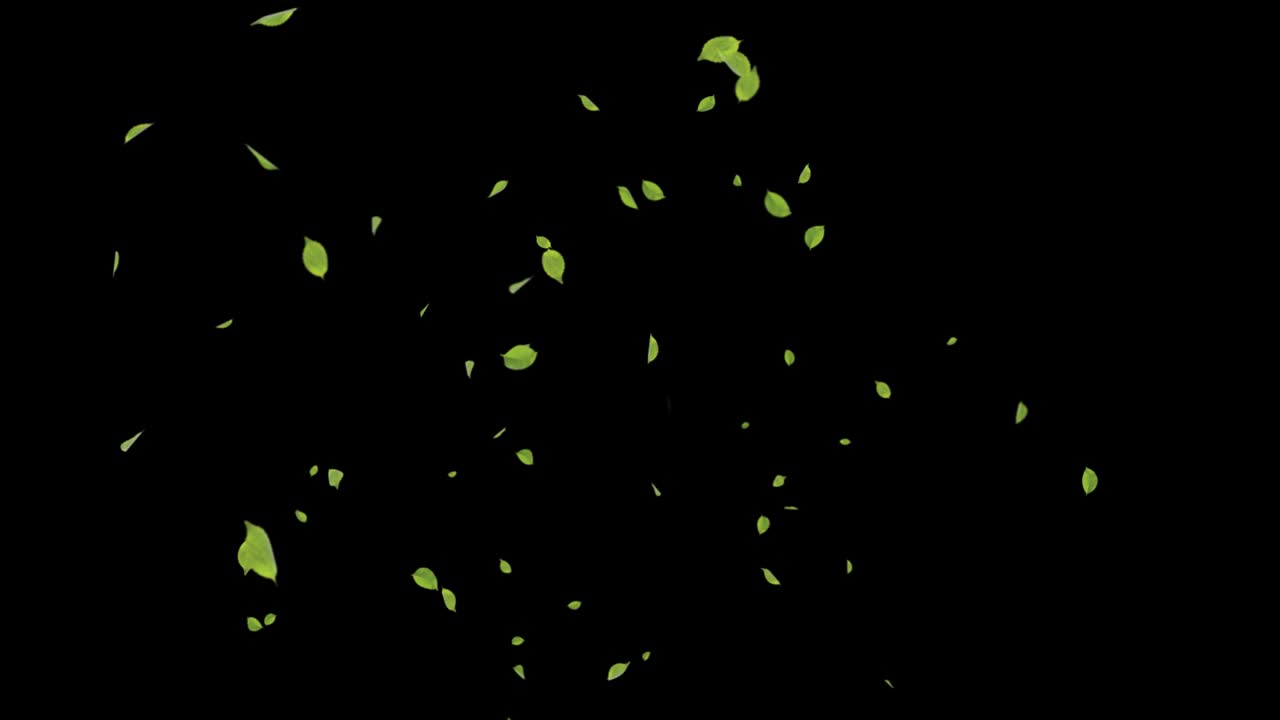 차 잎이 떨어지는 3d 4k 모션 비디오 느린 동작 현실적인 3d 알파 채널 루프 애니메이션