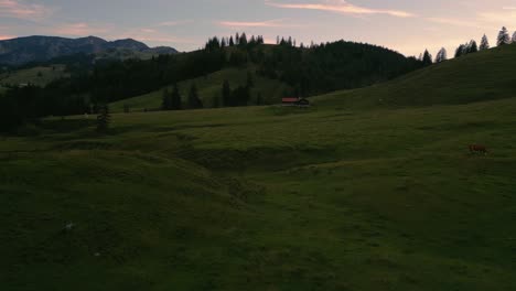 grass meadows with a herd of cows in the traditional, romantic and idyllic bavarian wendelstein alps mountains by sunset with red cloud sky and mountain peaks