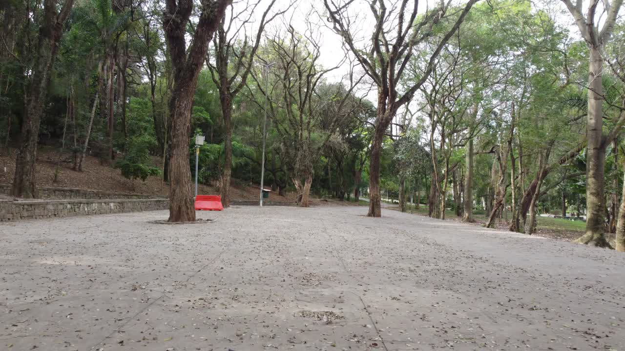 브라질 봄에 잎으로 가득 찬 땅을 촬영하는 드론과 함께 낮은 비행,  ⁇ 은 경로, 4k 영상