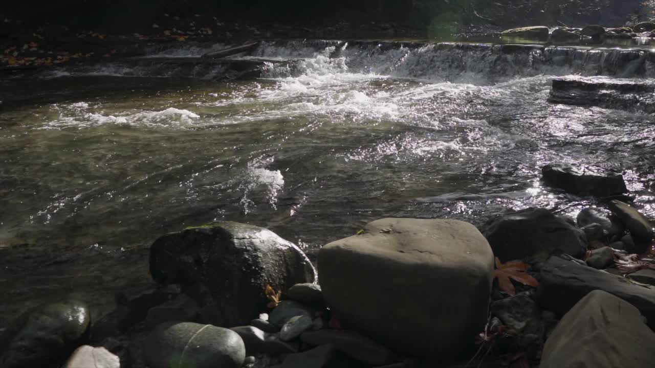 가을 에 폭포 의 강변 에서 볼 수 있는 모습