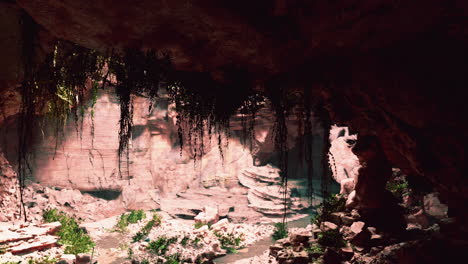 La-Vista-Dentro-De-La-Cueva-De-Hadas-Con-Plantas