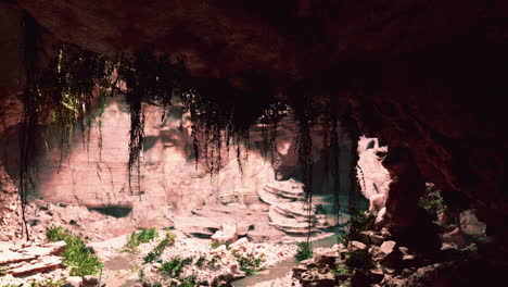 la vista dentro de la cueva de hadas con plantas