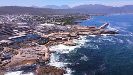el levantador de drones hacia atrás revela granjas comerciales de abalones en la costa de hermanus.