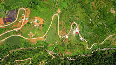 vistas perfectas de los campos de arroz de sapa