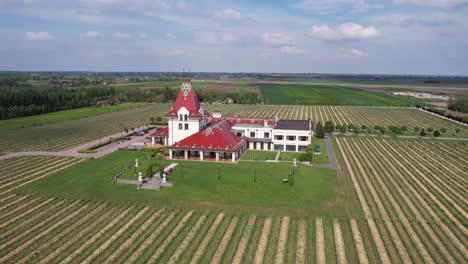 Aerial-View-of-Traditional-Wintery-in-Vojvodina,-Serbia-Near-Palic-Lake-and-Subotica