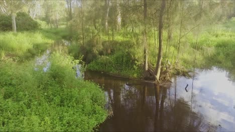 Smooth-pull-back-revealing-a-peaceful-and-lush-waterhole-catching-the-early-morning-sun-in-the-Queenland-bush