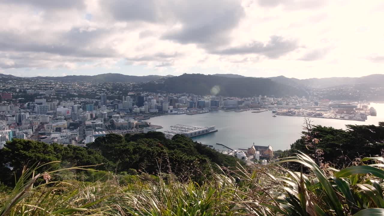 Wellington Cityscape from a High Vantage Point