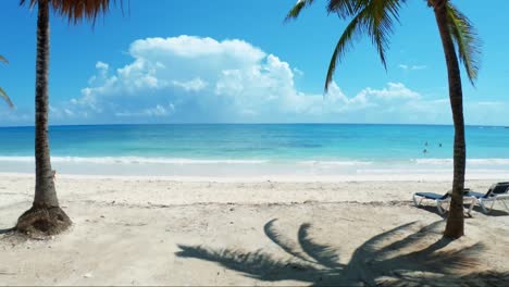 Gorgeous-tilting-up-shot-of-a-tropical-beach-with-white-sand,-palm-trees,-and-turquoise-water-on-the-beautiful-Playa-del-Carmen-in-Riviera-Maya,-Mexico-near-Cancun-on-a-sunny-summer-day-on-vacation