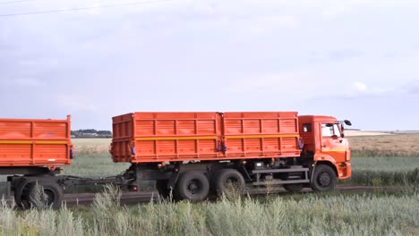 orange agricultural trucks in a field