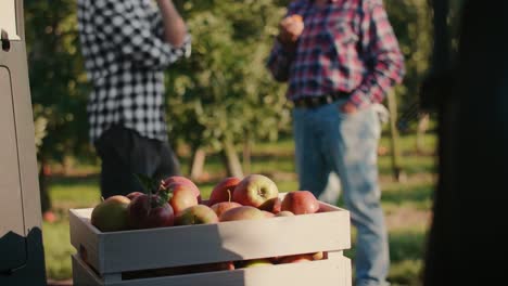 handheld view of a full crate of apples and two farmers in the background