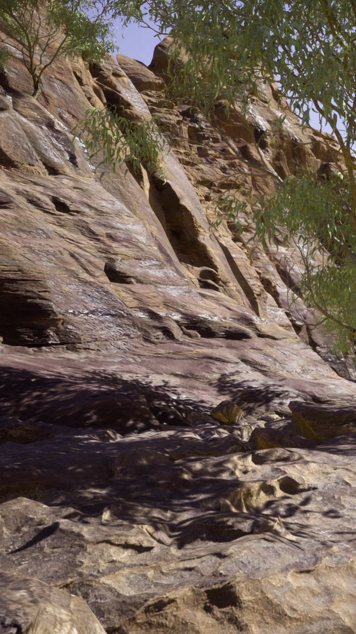 Rocky landscape shows trees and textured rock formations in natural setting