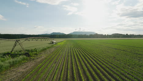 Sistema-De-Riego-Regando-Cultivos-En-Un-Campo-Soleado-En-Dardanelle,-Arkansas,-Vista-De-Drones