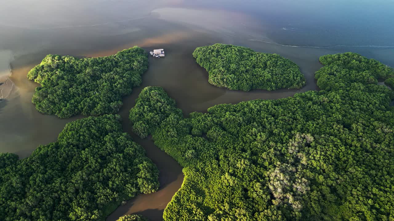 Beautiful drone view of Bali mangrove forest with vibrant trees, winding streams, and tranquil waterscapes reflecting the importance of this tropical ecosystem to Indonesia’s coastal environment