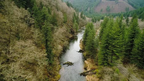 flug über dem washougal river in der nähe der dougan falls, unbefestigte straßenfahrten unter immergrünen bäumen parallel zum fluss