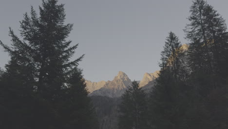 mountain peaks framed by forest trees