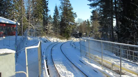tren entrando en la estación de ladera nevada