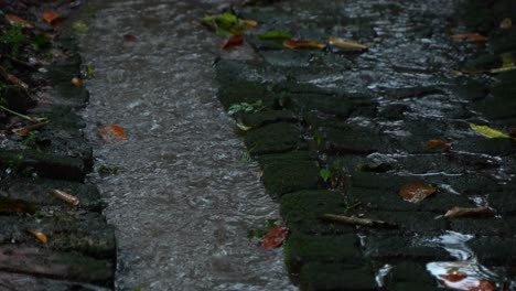 in the rainy season, eastern india receives heavy rainfall during the rainy season