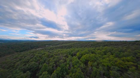 Vista-Aérea-Sobre-Un-Frondoso-Bosque-En-Italia