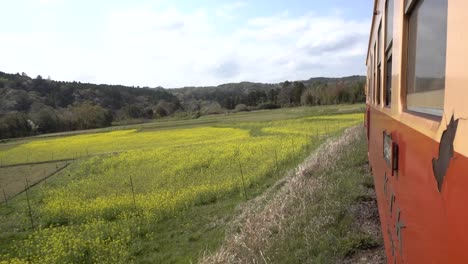 pov looking outside of train riding through beautiful rape flower countryside