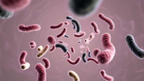 colorful bacteria