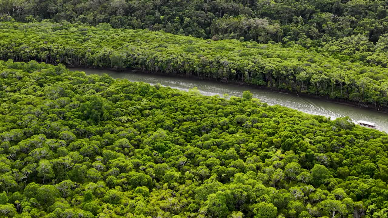 Aerial view of tour boat moving on winding river through lush rainforest, overcast daylight
