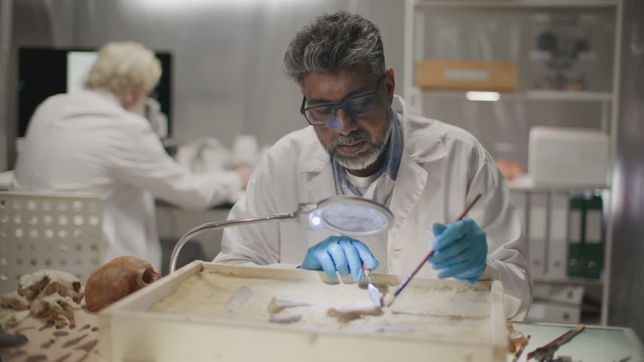 Senior Scientist Unearthing Bones in Sand-Filled Tray during Lab Research