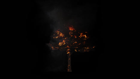 árbol en llamas