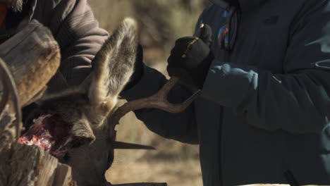 hunters cutting deer's head off after skinning the animal