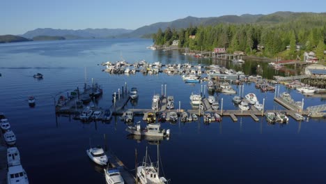 Drone-pull-back-shot-of-an-Alaskan-cove-full-of-fishing-boats-on-a-rare-Sunny-day-in-South-Eastern-Alaska