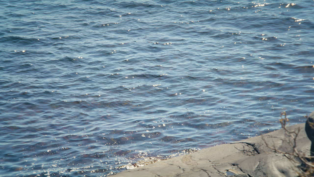 Slow motion close up shot of small waves moving toward the rocky shoreline in Raet National Park, Norway, on a bright sunny day. The sunlight sparkles across the water surface like blinking stars