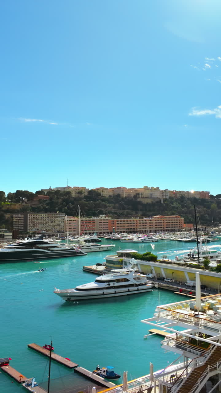 Vista aerea di barche bianche ormeggiate nel porto turistico di Monaco. Verticale