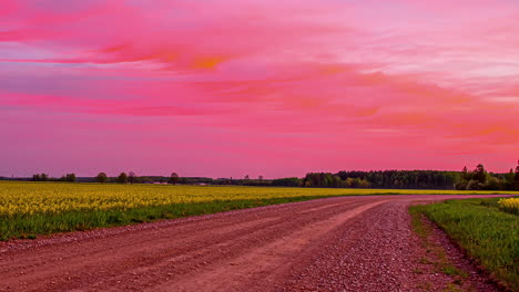 Static-shot-of-colorful-sky-above-yellow-rapeseed-field-in-rural-landscape-with-gravel-pathway-running-through-the-yellow-flower-farmland-in-evening-time