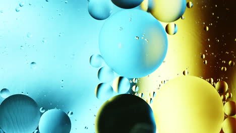 real close up oil bubbles in water rotation with color gradient abstract mixing background