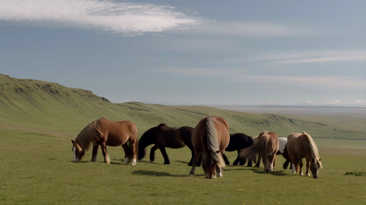 Horses Grazing on a Green Hillside in a Scenic Landscape
