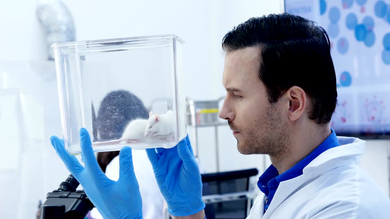 científico masculino sosteniendo la maza y mirándola. científico trabaja en un laboratorio. resolución 4k.